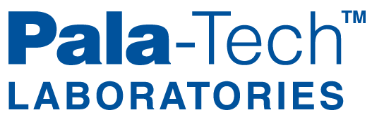 Pala-Tech Name Logo